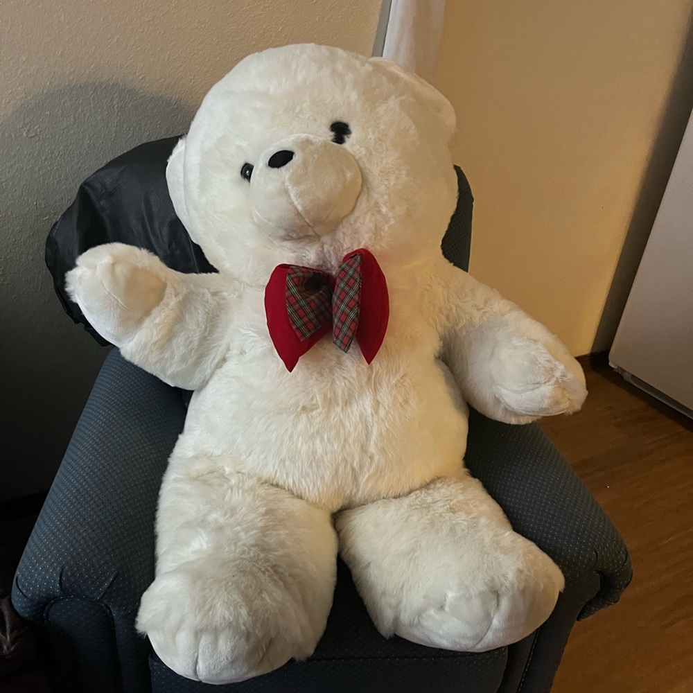 Giant teddy bear, looks brand new